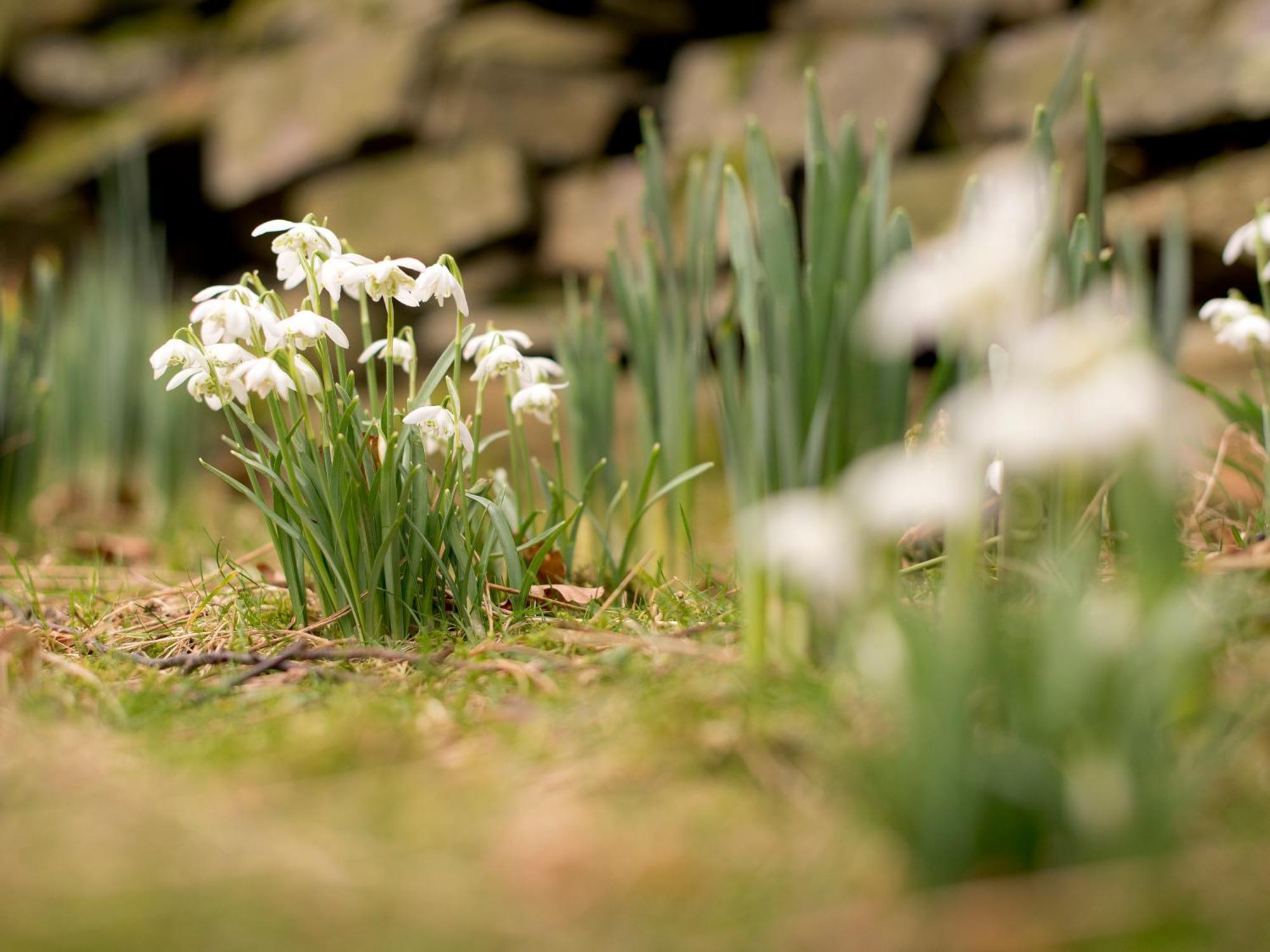 Yha Buttermere Buitenkant foto